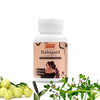Ayurleaf Herbals - Hairgard Extract Blended Capsules 500 Mg 60 Veggie Capsules for Women
