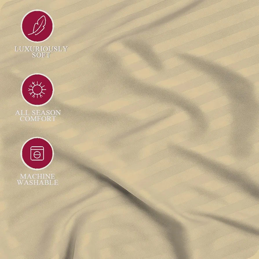 Trance Home Linen 100% Cotton 75x60 inch 200TC Satin Stripe Elastic Fitted Bedsheet | Daily Use Double Bed Fitted Bedspread with 2 Pillow Covers 