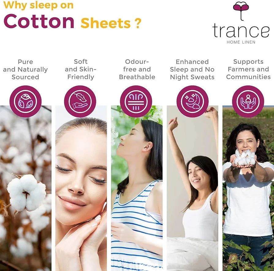 Trance Home Linen 100% Cotton 78x72 inch King Elastic Fitted Bedsheet | 400TC Soft Durable Plain Fitted Elastic Bed Sheet with 2 Pillow Covers 