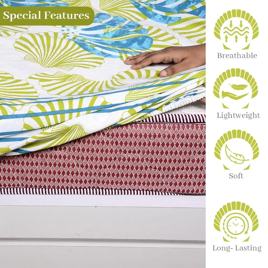 Divine Casa Cotton Acid Lime Bedsheet for Double Bed Elastic Fitted with 2 Pillow Covers  Calming Shells