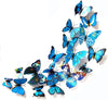 Jaamso Royals 3d Butterfly Stickers for Wall Decoration Items12 Piece Pack of 1 Blue