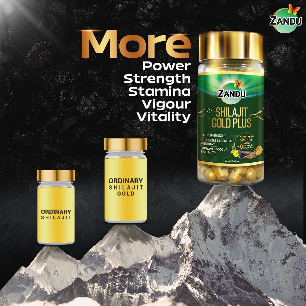 Zandu Shilajit Gold Plus Capsule