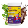Babyorgano Herbal Chocovita - 300 gms