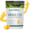 Nakpro Grass Fed Whey Protein Concentrate Mango Flavour - 1000 gms