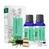 Rey Naturals Rosemary Oil For Hair Growth Essential Oil - 15 ml (Pack of 2)