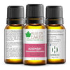 Bliss of Earth Rosemary Essential Oil Premium - 10 ml