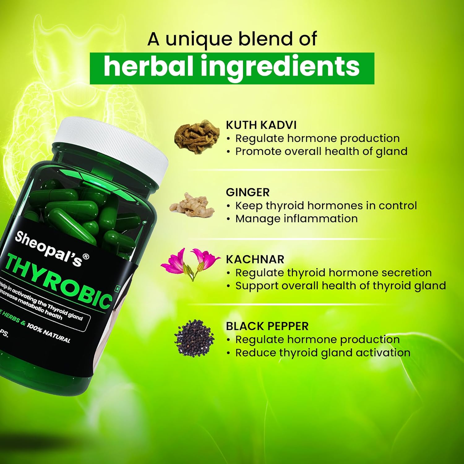 Sheopal Sheopal's Metabolic Wellness Herbal Capsules - 60 caps - Swadesii