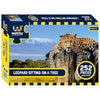 Webby Leopard Sitting On A Tree Jigsaw Puzzle for Kid 252 Pieces