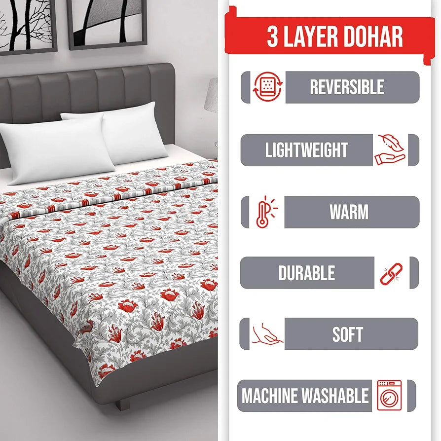 Divine Casa Floret 100% Cotton Double Dohar | 120 GSM | Soft & Lightweight Throw Blanket | Reversible Design | Cozy & Breathable Bedding | All-Season Comfort | 220 x 205 CM, Royale