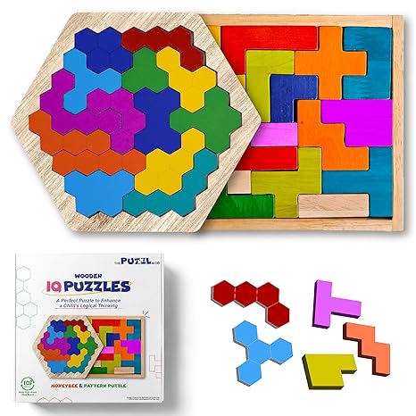 The Puzzl Co - Set of 2 Wooden Pattern Puzzles for Kids Educational Bi ...