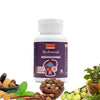 Ayurleaf Herbals- Hedonzal Extract Blended Capsules 300 Mg 60 Veggie Capsules for Men