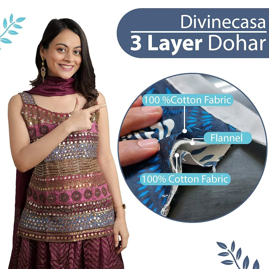 Divine Casa Glace Cotton 120 GSM Reversible Lightweight Printed Double Bed AC Dohar Blanket Quilt - Blue and Brown| TC - 120