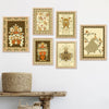 Kotart Premium Digital Madhubani Art Paintings with Frame Pack of 6 art 5