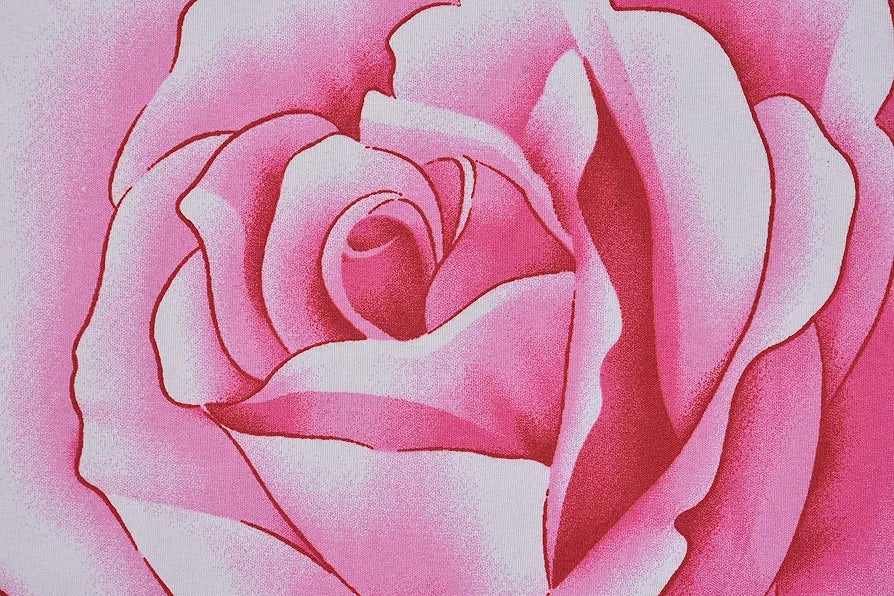 HFI 160 TC Polycotton Double Bedsheet with 2 Pillow Covers - Floral, Multicolor