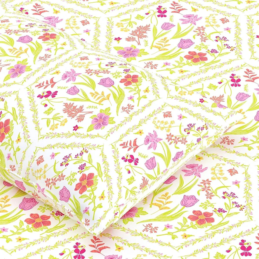 Dreamscape 100% Cotton Double Bedsheet with 2 Pillow Covers - 