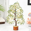 HindCraft Green Jade Crystal Tree Golden Wire 10-12 inch