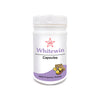 SKM Siddha And Ayurveda Whitewin - 100 tabs