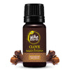 The Indie Earth Clove Essential Oil - 10 ml