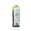 Dhathri Dheedhi Anti Hairfall Herbal Shampoo - 400 ml