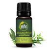 The Indie Earth Eucalyptus Essential Oil - 10 ml