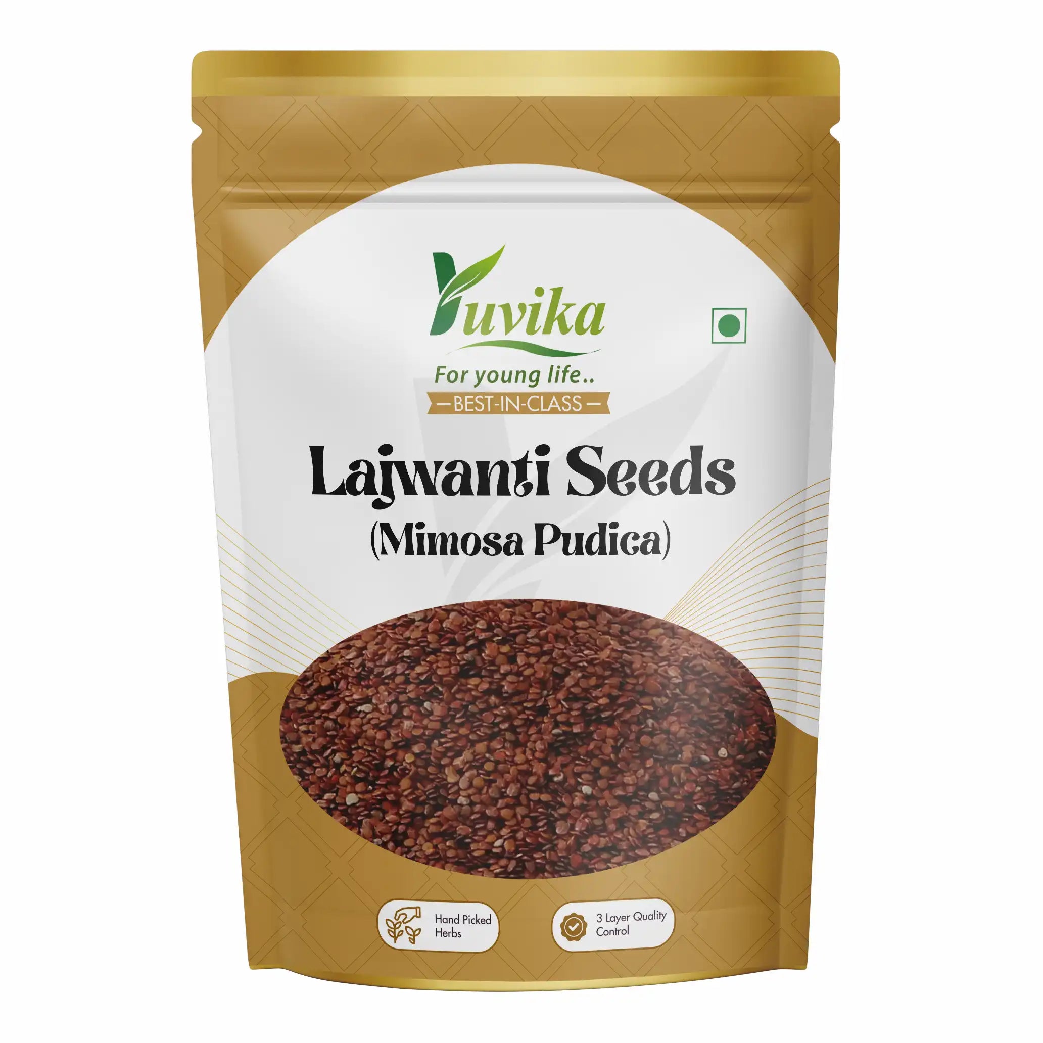 mimosa pudica plant seeds Lajwanti Seeds - Chuimui - Mimosa Pudica