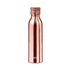 Milton Glitz Vacuum Insulated Thermosteel Bottle