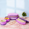 Nayasa Duplex Deluxe Lunch Box with Soft Insulated Bag and Steel Tiffin