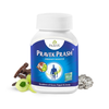 Pravek Prash