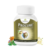Pravek Procure