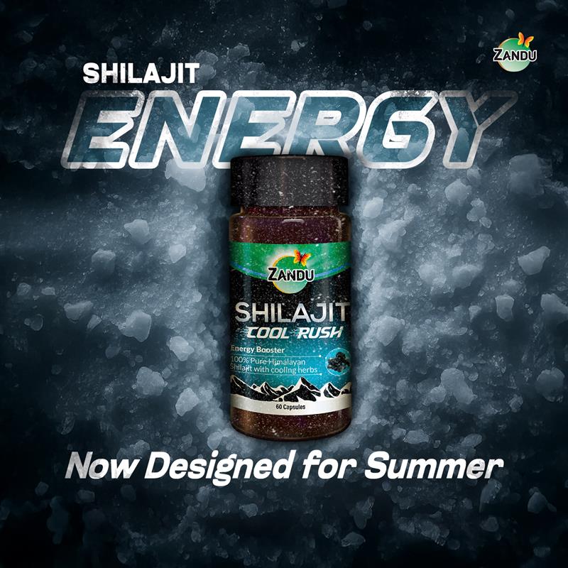 Zandu Shilajit Cool Rush Capsules: The 1st Ever Himalayan Shilajit Capsule with Heat Balancing Herbs (60 Caps))