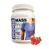 Develo Weight & Mass Gainer Protein Strawberry Flavour - 1000 gms