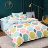 The Home Style Cotton Feel Glace Cotton Printed King Size Double Bed Bedsheet with 2 Pillow Cover Pastel Palette