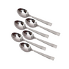 IndianArtVilla Matt Finsh Stainless Steel Cutlery Coffee Spoon Set 6 Pieces