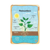 Webby Photosynthesis Wooden Jigsaw Puzzle 40Pcs