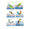 FunBlast Birds Jigsaw Puzzles for Kids Wooden Paperless Jigsaw Puzzles for Kids 20 Pcs