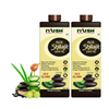 Iyush Herbal Ayurveda Premium Aloe Shilajit Ras Mineral Rich Drink of Power Each - 500 ml (Pack of 2)
