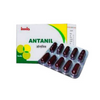 Imis Ayurveda Antanil Capsules - 30 Capsules