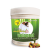 Develo Pregnancy Veloprot Mixed Fruit Flavour - 500 gms