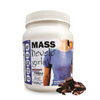 Develo Weight & Mass Gainer Protein Chocolate Flavour - 1000 gms