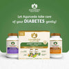 Maharishi Ayurveda Complete Diabetes Care Therapy Combo