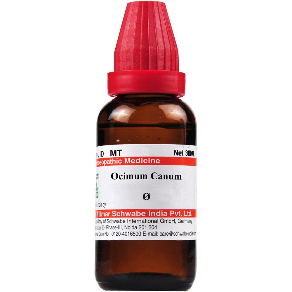 Dr. Willmar Schwabe India Ocimum Canum Mother Tincture Q - 1x / 30 ml, image size:1000x1000