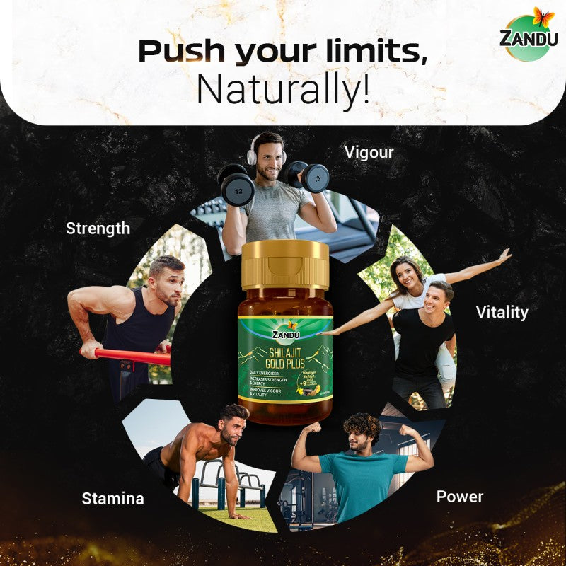 Zandu Shilajit Gold Plus Capsule