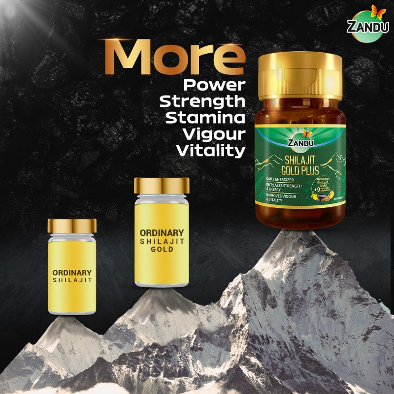 Zandu Shilajit Gold Plus Capsule