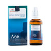 Allen Homeopathy A66 Lung Infections Drops