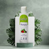 Bello Shampoo Herbal