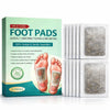 LAKULISH COLLECTION Herbal Foot Detox Pads for Toxin Removal - Each 10 Piecs