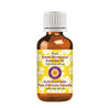 Deve Herbes Pure Sweet Wormwood Essential Oil - 15 ml