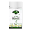 Innoveda Mullein Pure Leaf Tea