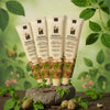 Isha Life Herbal Toothpaste - 50 gms (Pack of 4)