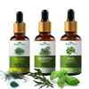 Nature Glow Tea Tree + Eucalyptus + Basil Essential Oil Pack of 3 (45ml)